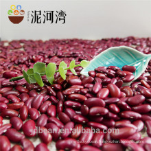 high quality dark red kidney bean Shanxi Variety for Cannery